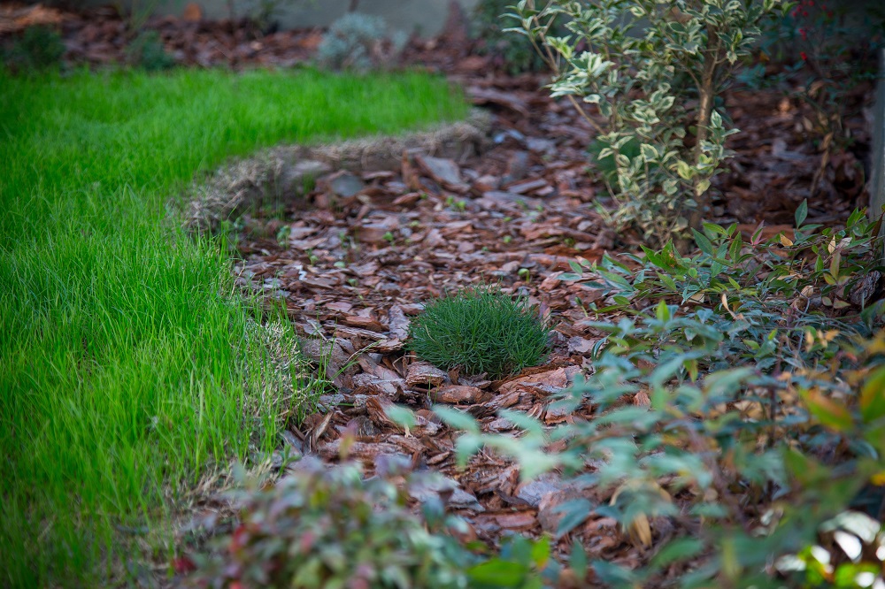 Dúplex de 1 dorm. con patio y galería.